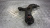 фото Toyota Auris E15 Рычаг передний правый 2006-2012