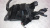 фото Lexus GS Блок предохранителей под капотом 2005-2011